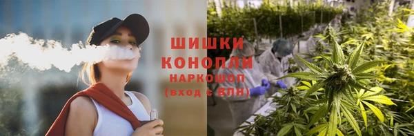 spice Лабытнанги