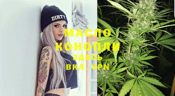 дурь Ладушкин