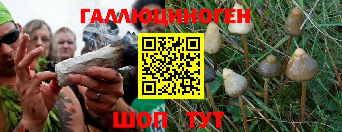 Галлюциногенные грибы MAGIC MUSHROOMS Мончегорск